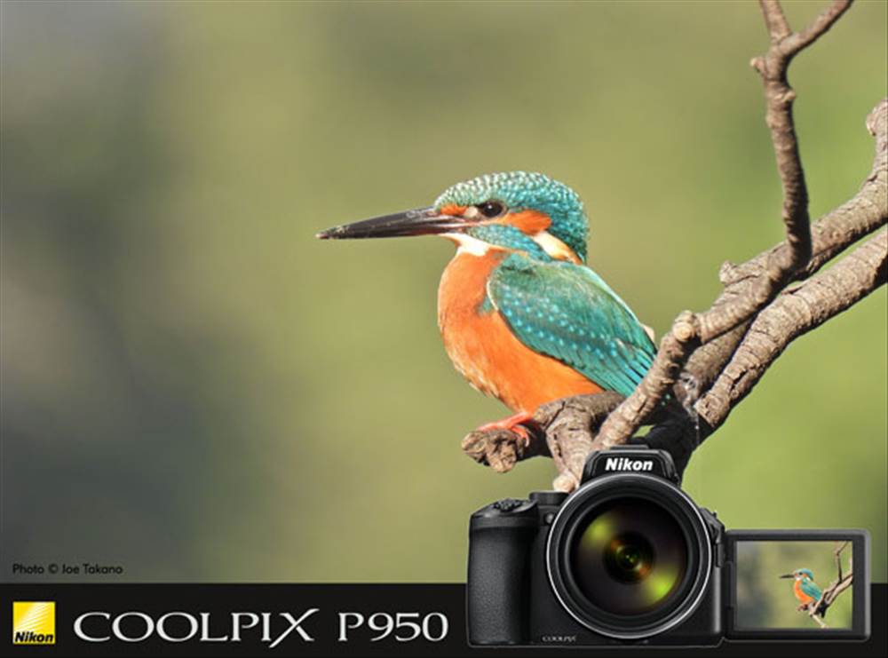 Coolpix P950