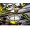 روغن زیتون طارم یک لیتری